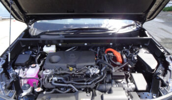 Toyota RAV4 2023 full