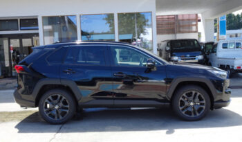 Toyota RAV4 2023 full